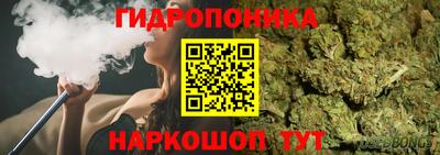 дмт Тара